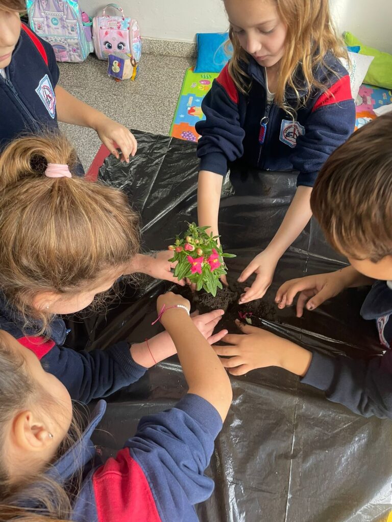 Pequeños detectivas de plantas